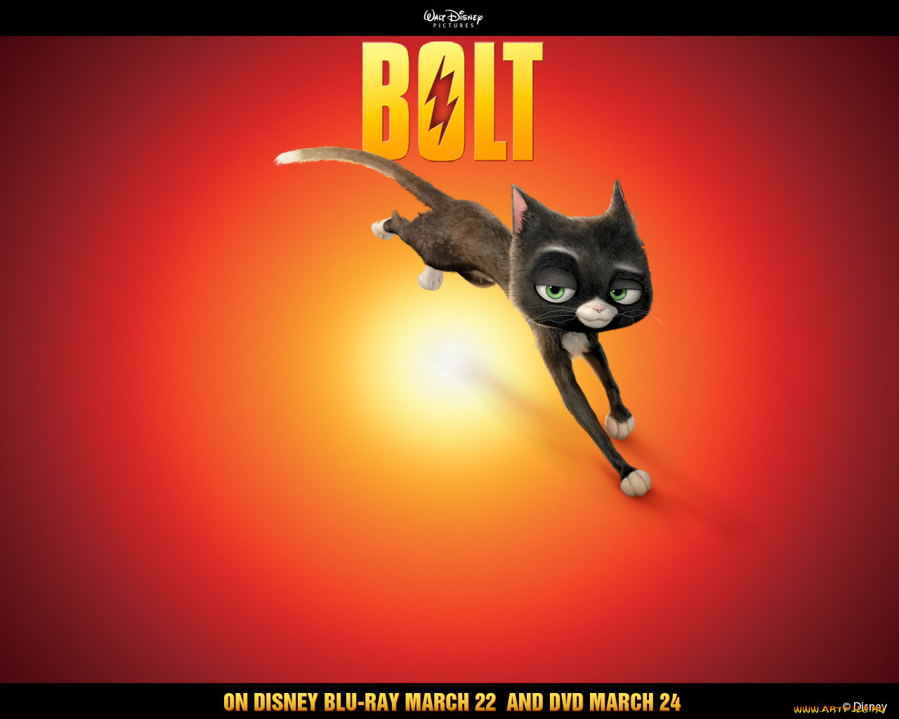 , bolt